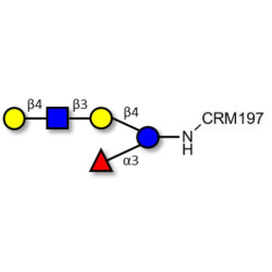 Lacto-N-fucopentaose VI (LNFP-VI) grafted on CRM197