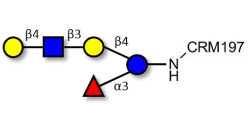 Lacto-N-fucopentaose VI (LNFP-VI) grafted on CRM197