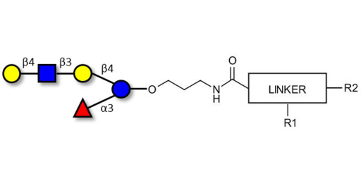 Lacto-N-fucopentaose VI (LNFP-VI) with customizable dual functionalization 