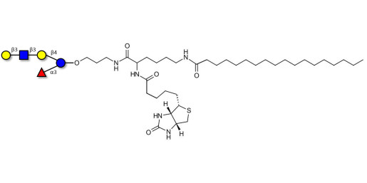 Lacto-N-fucopentaose V (LNFP V) linked to biotin and stearic chain (Linker-BT-STEA A)