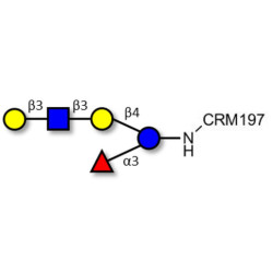 Lacto-N-fucopentaose V (LNFP V) grafted on CRM197