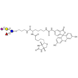 3’-Sialyl-3-Fucosyllactose linked to biotin and fluorescein (Linker-BT-FLUO A)