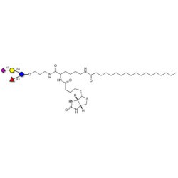 3’-Sialyl-3-Fucosyllactose linked to biotin and stearic chain (Linker-BT-STEA A)