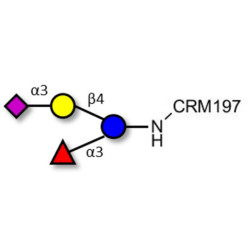 3’-Sialyl-3-Fucosyllactose grafted on CRM197