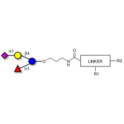 3’-Sialyl-3-Fucosyllactose with customizable dual functionalization 