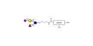 3’-Sialyl-3-Fucosyllactose...