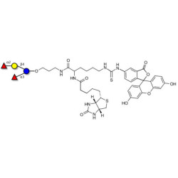 Difucosyllactose (DFL) / Lactodifucotetraose linked to biotin and fluorescein (Linker-BT-FLUO A)