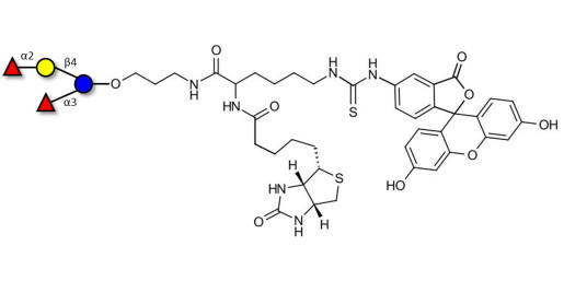 Difucosyllactose (DFL) / Lactodifucotetraose linked to biotin and fluorescein (Linker-BT-FLUO A)