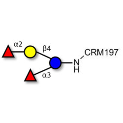 Difucosyllactose (DFL) / Lactodifucotetraose grafted on CRM197