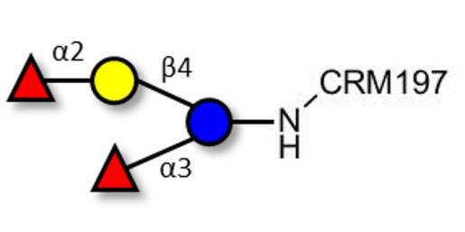 Difucosyllactose (DFL) / Lactodifucotetraose grafted on CRM197
