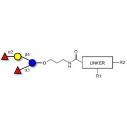 Difucosyllactose (DFL) / Lactodifucotetraose with customizable dual functionalization 