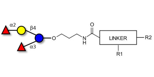 Difucosyllactose (DFL) / Lactodifucotetraose with customizable dual functionalization 