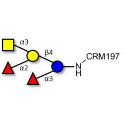 Blood group A pentaose grafted on CRM197