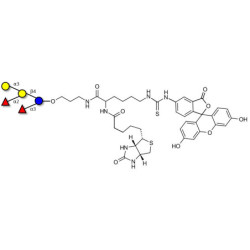 Blood group B pentaose linked to biotin and fluorescein (Linker-BT-FLUO A)
