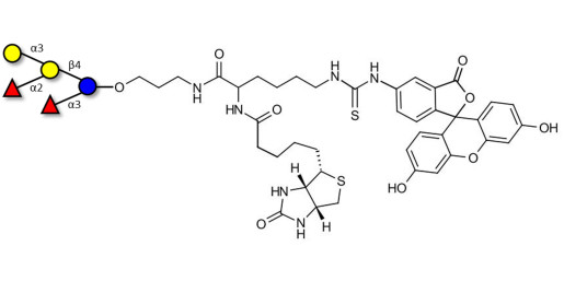Blood group B pentaose linked to biotin and fluorescein (Linker-BT-FLUO A)