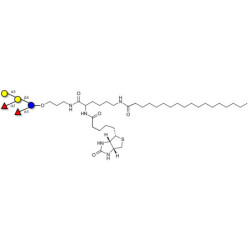 Blood group B pentaose linked to biotin and stearic chain (Linker-BT-STEA A)
