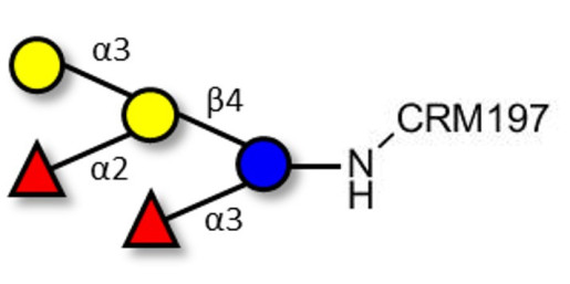 Blood group B pentaose grafted on CRM197