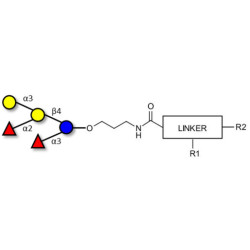 Blood group B pentaose with customizable dual functionalization 
