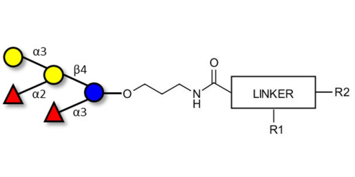 Blood group B pentaose with customizable dual functionalization 