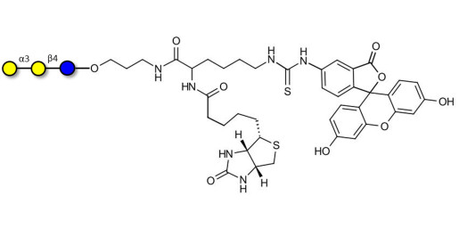 Isoglobotriose (iGb3) linked to biotin and fluorescein (Linker-BT-FLUO A) - linear B-6 trisaccharide ; IsoGb3; 3α,4β-Galactotriose; 3'-Galactosyl-lactose