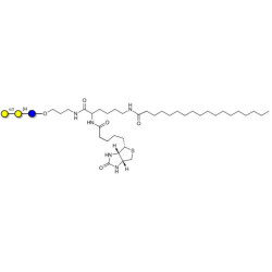 Isoglobotriose (iGb3) linked to biotin and stearic chain (Linker-BT-STEA A)