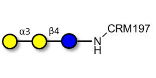 Isoglobotriose (iGb3) grafted on CRM197 - linear B-6 trisaccharide ; IsoGb3; 3α,4β-Galactotriose; 3'-Galactosyl-lactose