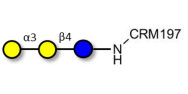 Isoglobotriose (iGb3)...