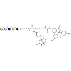 Galili antigen pentaose linked to biotin and fluorescein (Linker-BT-FLUO A)