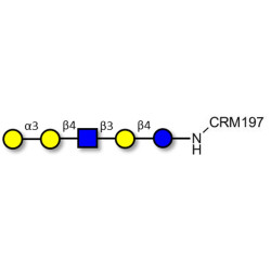 Galili antigen pentaose grafted on CRM197