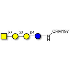 Isoglobotetraose (iGb4) grafted on CRM197