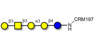 Isoglobopentaose (iGb5)...