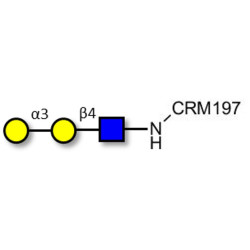 Xeno antigen type 2 / Galili antigen triose / Blood group B antigen triose type 2 linear grafted on CRM197
