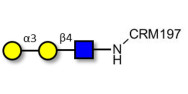 Xeno antigen type 2 /...