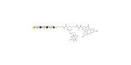 Galili antigen heptaose...