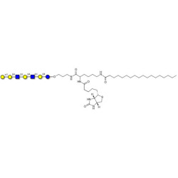 Galili antigen heptaose linked to biotin and stearic chain (Linker-BT-STEA A)