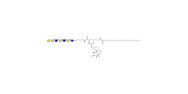 Galili antigen heptaose...
