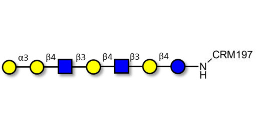 Galili antigen heptaose grafted on CRM197