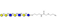 Galili antigen heptaose...