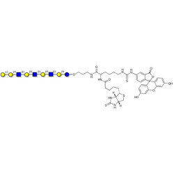 Galili antigen nonaose linked to biotin and fluorescein (Linker-BT-FLUO A)