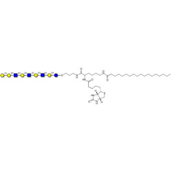 Galili antigen nonaose linked to biotin and stearic chain (Linker-BT-STEA A)