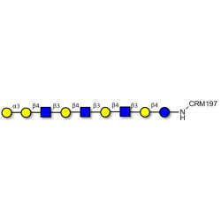 Galili antigen nonaose grafted on CRM197