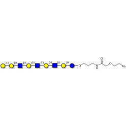 Galili antigen nonaose with terminal azide (Linker-N3 B)