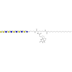 Galili antigen undecaose linked to biotin and stearic chain (Linker-BT-STEA A)