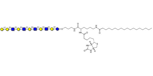 Galili antigen undecaose linked to biotin and stearic chain (Linker-BT-STEA A)