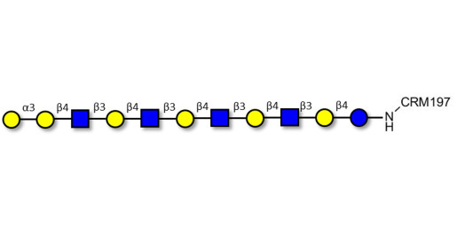Galili antigen undecaose grafted on CRM197