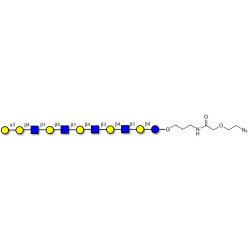 Galili antigen undecaose with terminal azide (Linker-N3 B)