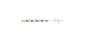 Galili antigen undecaose with customizable dual functionalization 