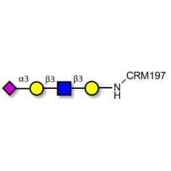 Sialylated tetraose type 1 grafted on CRM197