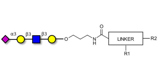 Sialylated tetraose type 1 with customizable dual functionalization 