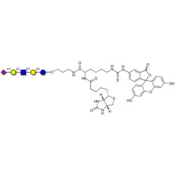 LS-Tetrasaccharide a (LSTa)  linked to biotin and fluorescein (Linker-BT-FLUO A)